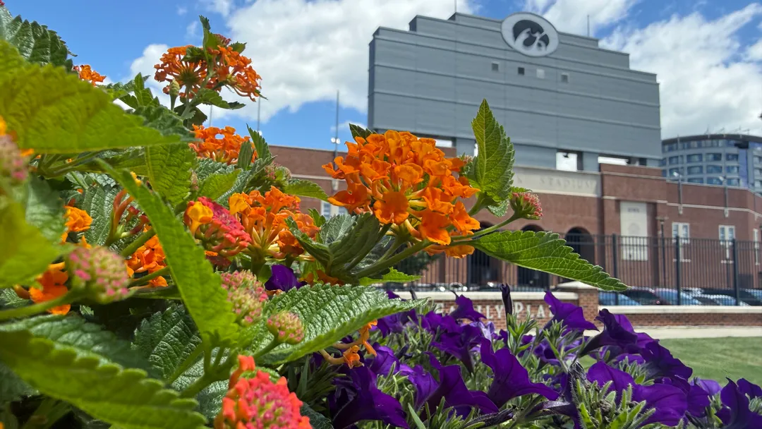Flowers in front of Kinnick Stadium